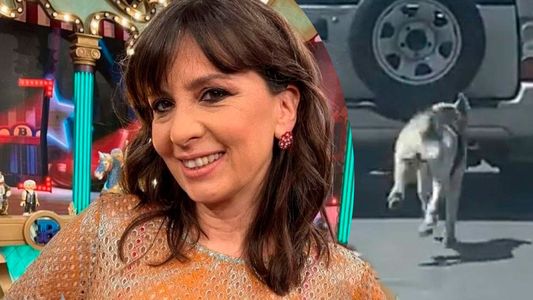 Resurgieron la cancelable actitud que tuvo Edith Hermida con su mascota