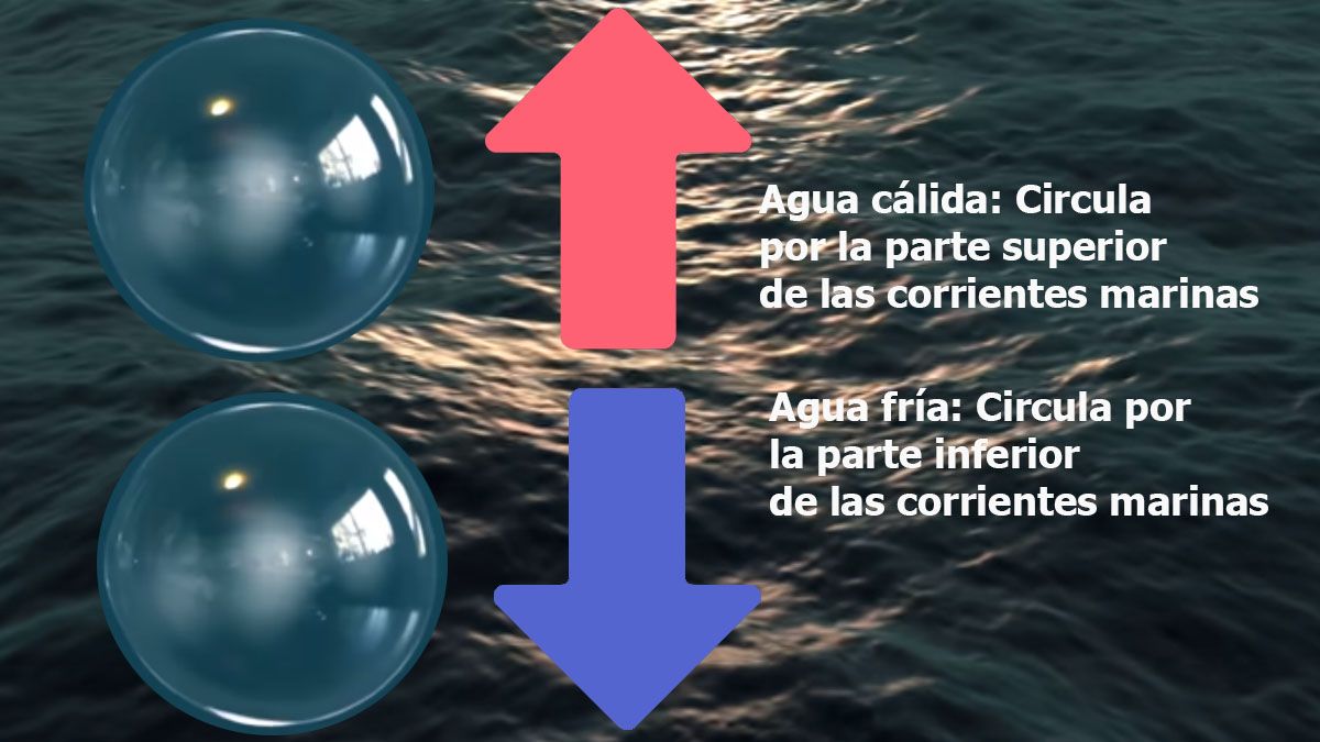 El agua de mar con menos sal y más agua dulce, cambia de densidad, aumenta de nivel y no circula por el planeta como debe hacerlo. (Foto: A24.com)
