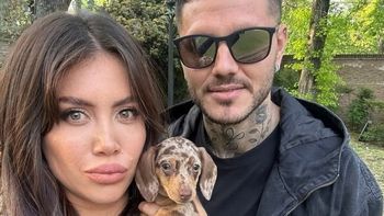 En plena guerra entre Wanda Nara y Mauro Icardi se supo quién se quedó con Cookie, la perrita salchicha