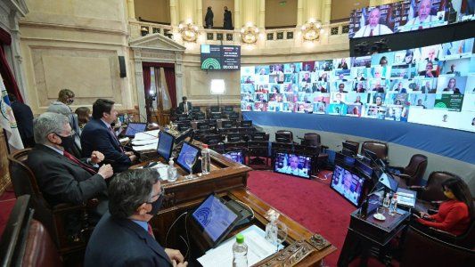 Salió bien de puto hoyo: el blooper de una senadora en medio de la sesión