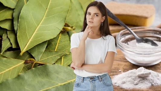 Hervir hojas de laurel con bicarbonato en casa: para qué sirve este truco y cuáles son sus beneficios