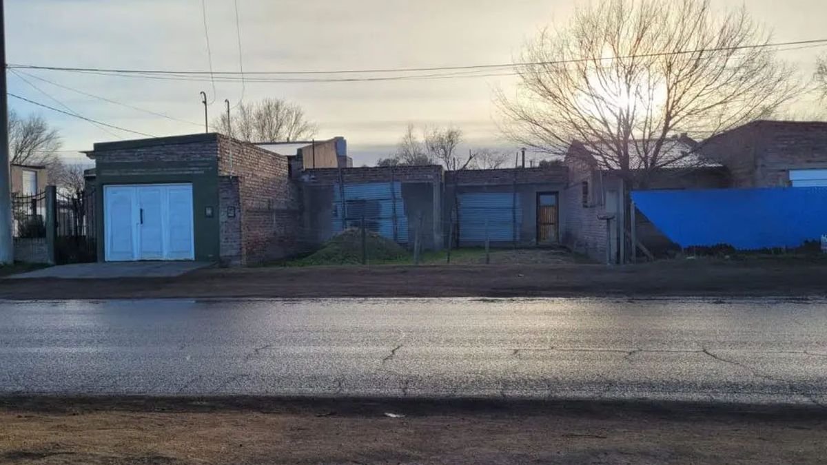 Horror en Bahía Blanca: murió de un infarto y sus perros se lo comieron (Foto: gentileza Canal Siete)