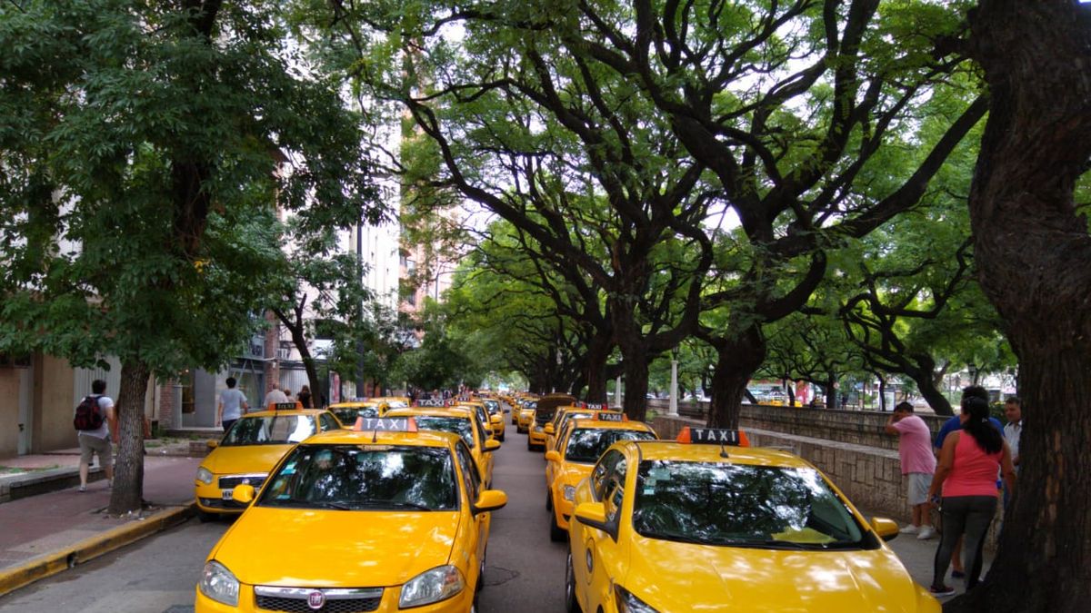 Córdoba: un proyecto pretende sortear 4 mil chapas de taxis y remises (Foto: La Voz del Interior).