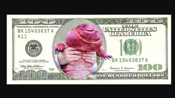 MAGAIBA: la historia de la memecoin argentina que sacudió el mercado de criptomonedas en pocos días
