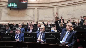 El Senado ratificó las leyes de emergencia pediátrica y de financiamiento universitario