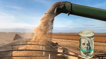 Retenciones al campo: el Gobierno oficializó una nueva rebaja para el sector agroindustrial
