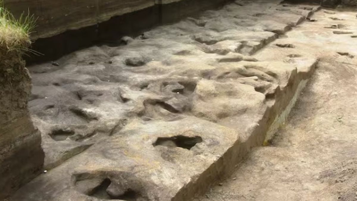 El impresionante hallazgo milenario en el fondo de un lago de Alemania.