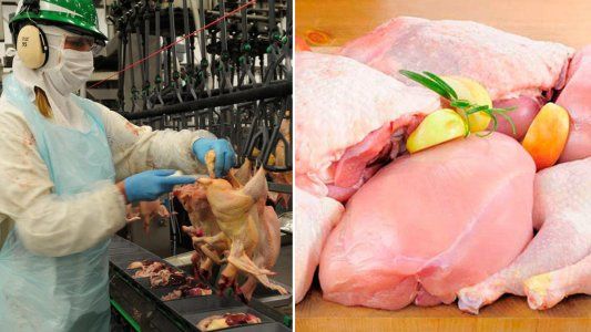 Luz verde para que la carne aviar argentina vuelva a Europa