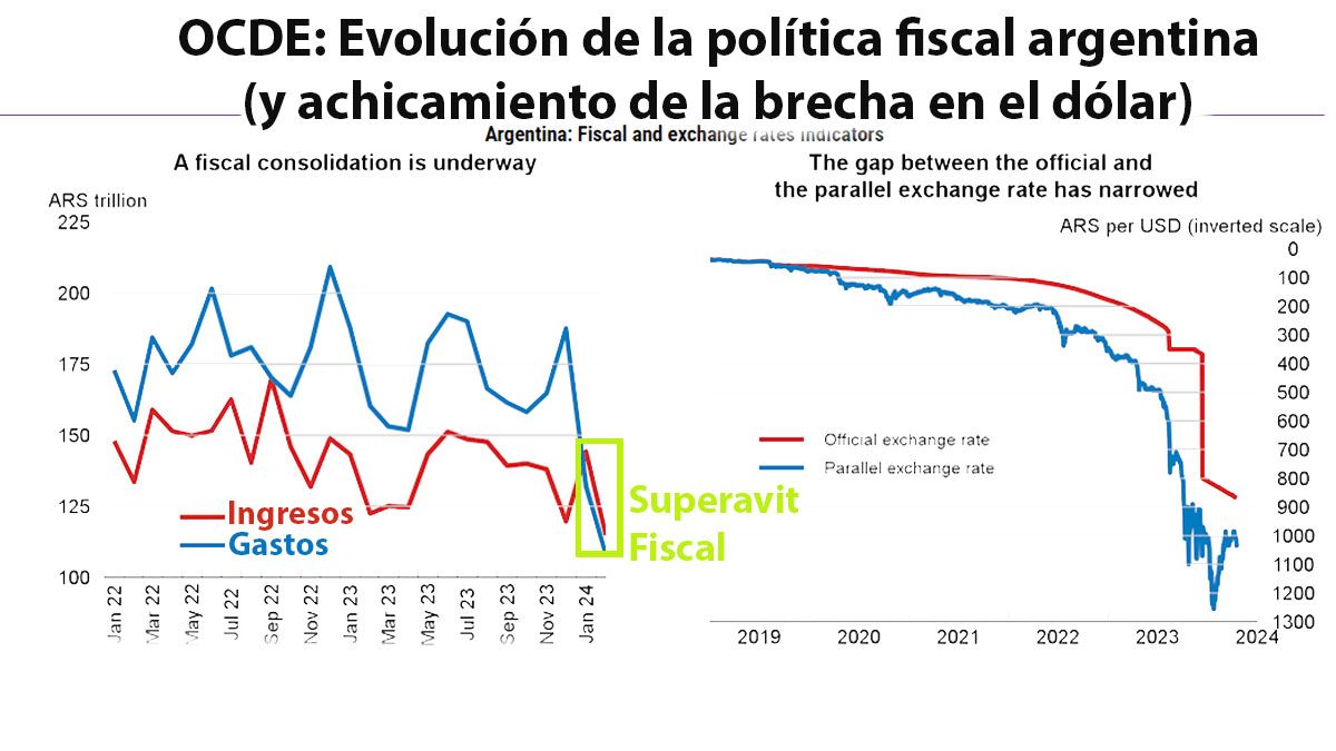 El informe de la OCDE destaca cómo la Argentina logró tener superavit fiscal en este 2024 y el achicamiento positivo de la brecha entre el dólar oficial y el paralelo. (Foto: OCDE)