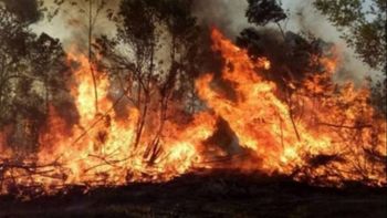 Incendios en Corrientes: el Gobierno refuerza la asistencia a los productores