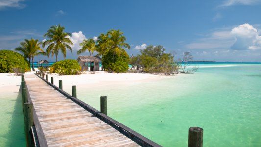 Ofrecen casa, auto y un sueldo de 120 mil dólares por cuidar una isla privada en Bahamas