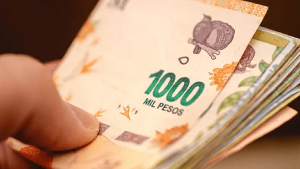 PLAZO FIJO: cómo hacer para ganar $600 mil por mes (Foto: archivo).