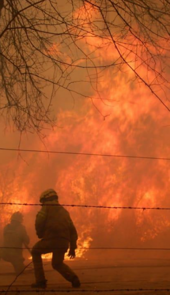 El fuego ya arrasó más de 40 mil hectáreas y los bomberos luchan por contenerlo ¿Qué está pasando en Córdoba?