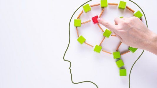 Suplementos para la memoria: ¿Mito o realidad?