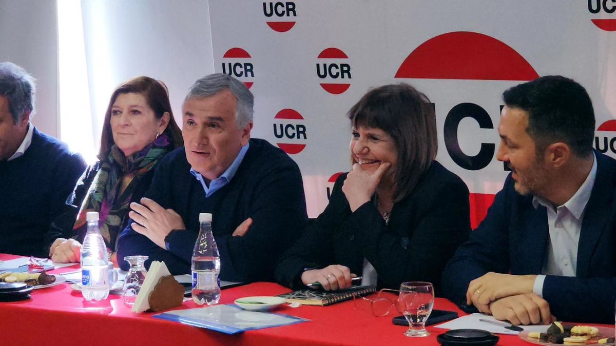 Patricia Bullrich recibió el apoyo de la UCR y de Diego Santilli. (@GerardoMorales)