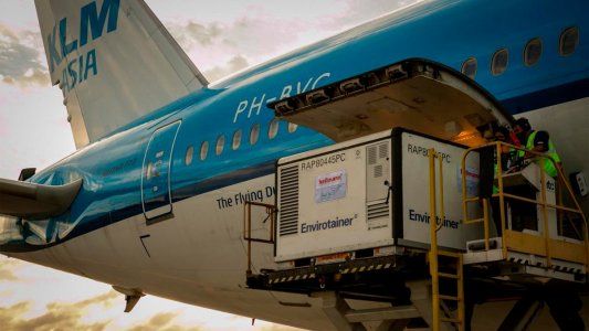 Se completó el millón de dosis de vacunas contra el Covid de Sinopharm