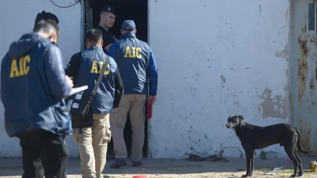 Hallanamiento al búnker de 