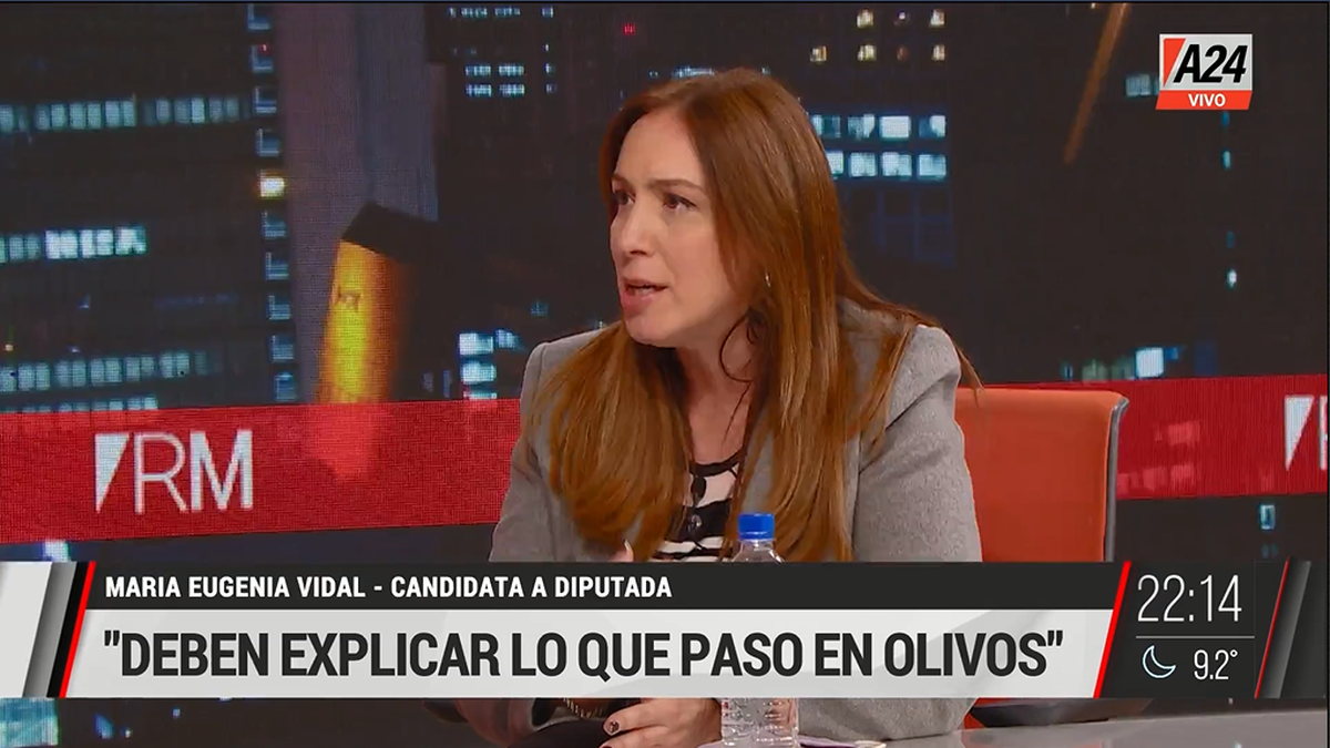 La precandidata en la Ciudad María Eugenia Vidal cuestionó las visitas nocturnas al presidente Alberto Fernández durante la pandemia en la quinta de Olivos (Foto: captura de televisión).