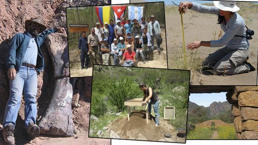 Invitación a la naturaleza