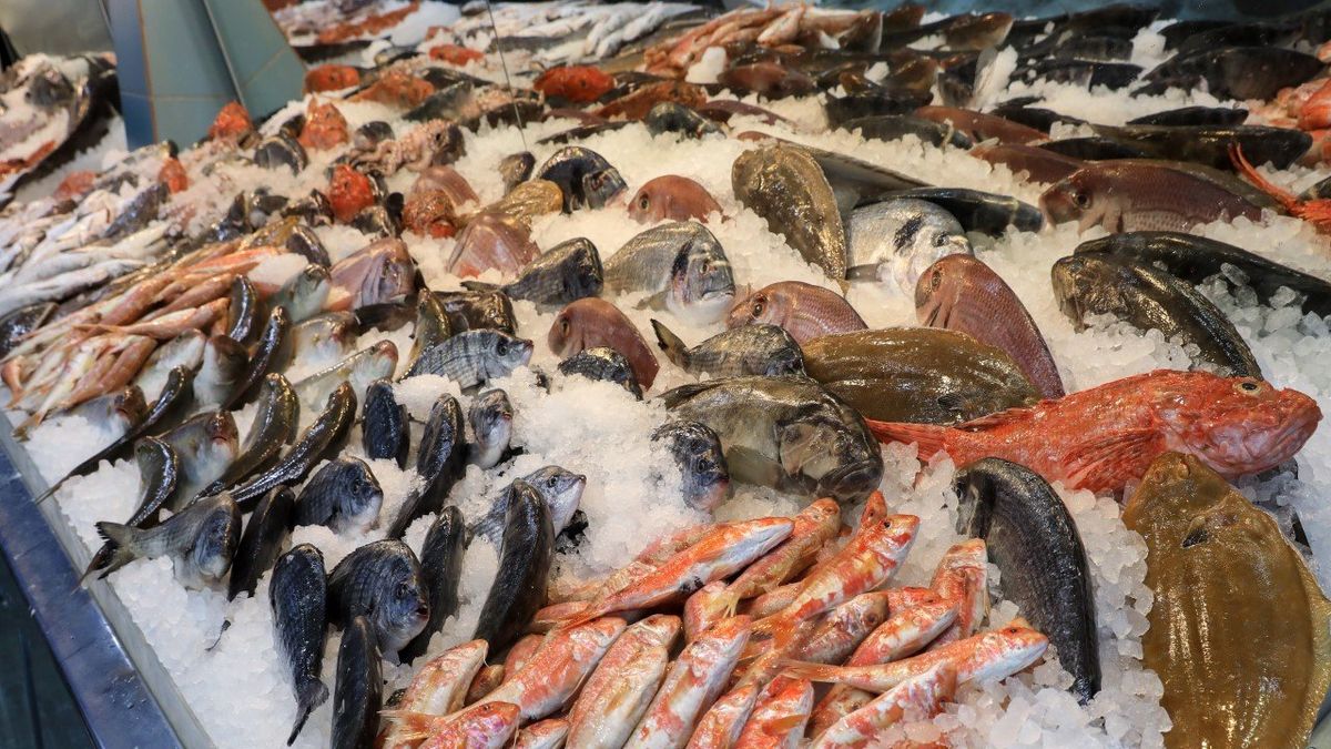 Pescadazo: el próximo miércoles