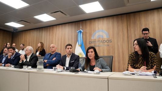 La oposición busca autoconvocar la Bicameral de Inteligencia por el DNU que reformó la ley