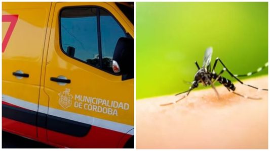 Dos personas caminaban por la calle, se desmayaron y murieron: sus familias afirman que tenían dengue