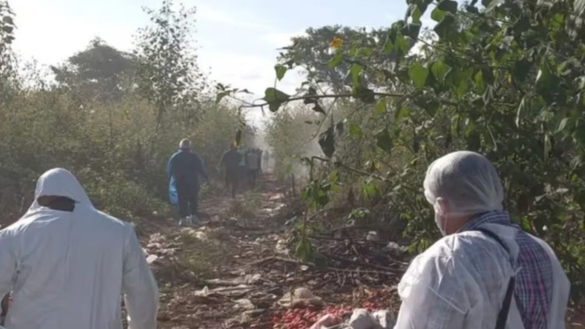 La joven de 29 años fue vista por última vez el sábado tras salir de su casa rumbo a una reunión. (Foto: gentileza El Tribuno).