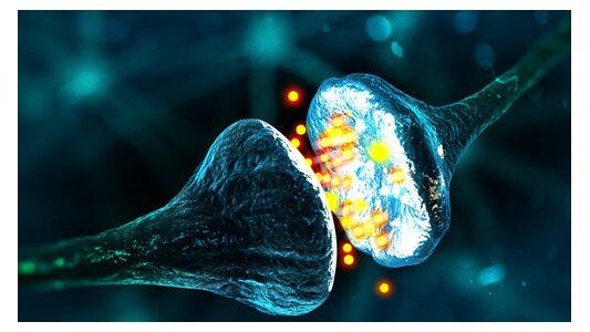 ¿Qué son los neurotransmisores?