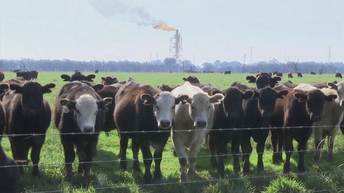 La COP26 logró un compromiso de reducir las emisiones del gas metano al 30% para el año 2030. (Foto: Archivo)