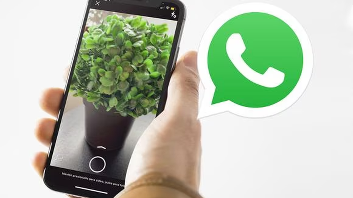 es inutil todo lo mejor cuero WhatsApp: qué es y cómo activar el Modo Cámara Oculta