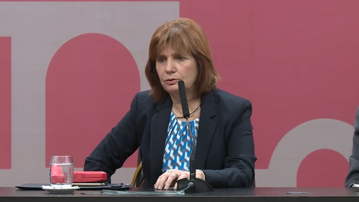 La presidenta del PRO