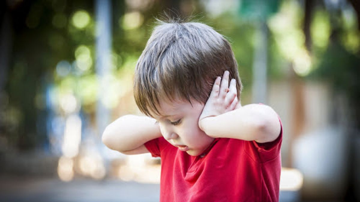 El síndrome de Asperger es un trastorno del desarrollo que se incluye dentro del espectro autista.