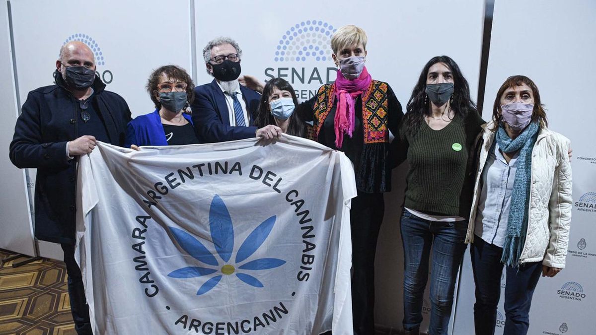 La Cámara Argentina del Cannabis acompañó a los Senadores en el debate por la ley.