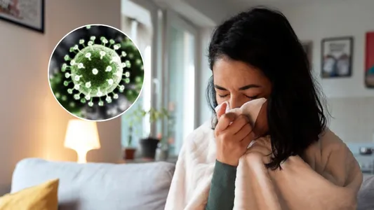 Alerta por la gripe H3N2: refuerzan la vigilancia en Argentina tras detectarse 3 casos en el país