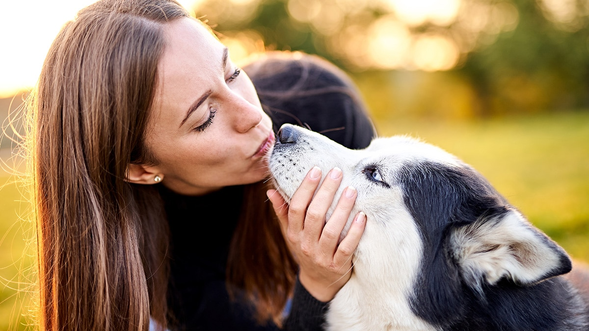 Qué significa darle besos a tu perro todo el tiempo