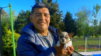 La furia de las hermanas Maradona luego de los resultados de la Junta Médica