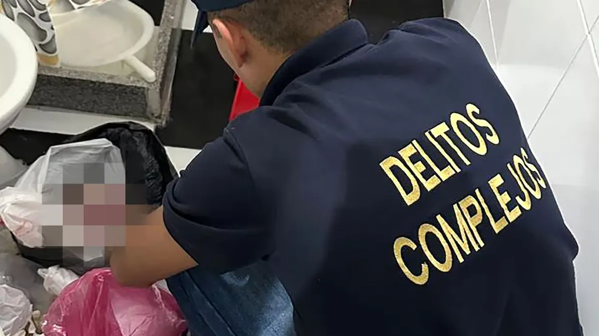 Los fetos estaban en bolsas de consorcio.&nbsp;