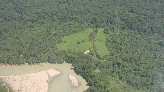 ¿La Argentina no produce café? La curiosa historia de la única finca de cafetales del país, a la que solo se puede ingresar desde Bolivia