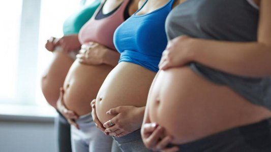 Lo que hay que saber sobre el desarrollo embrionario