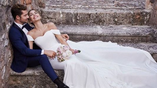 David Bisbal se casó en secreto con Rosanna Zanetti