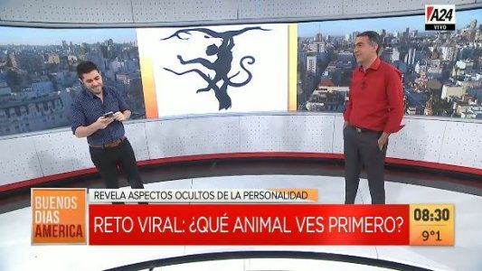 El reto viral del momento: cómo es tu personalidad según el animal que ves