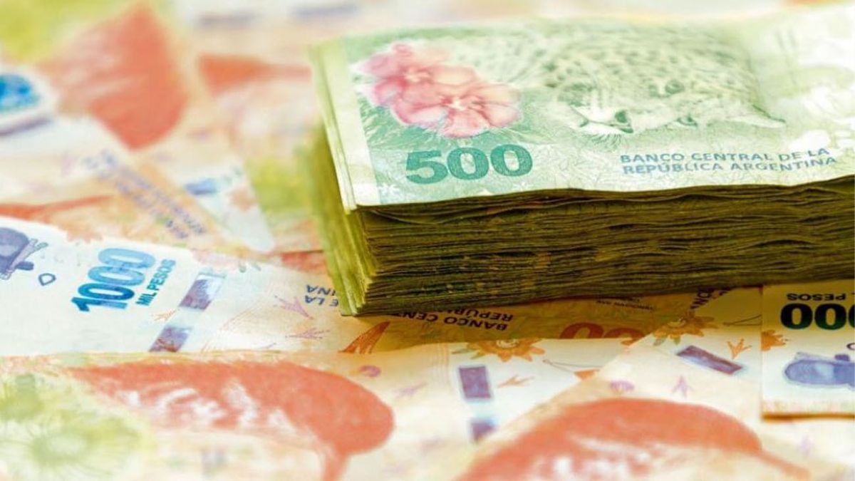 NUEVA TASA de interés para el PLAZO FIJO: cuánto gano depositando $300 mil (Foto: archivo)