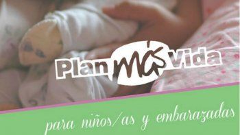 Tarjeta verde: Qué es, cómo consultar saldo y más. Plan más vida