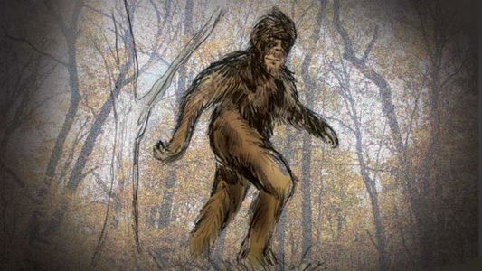 Qué es el Ucumar, el monstruo mitológico que aseguran haber visto en Salta