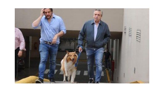 El anuncio menos esperado de Alberto Fernández: su perro, Dylan, fue papá... ¿y cómo se llama su nuevo paseador?