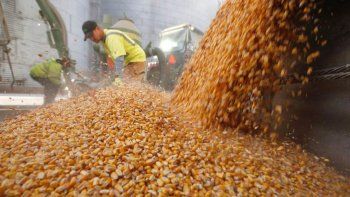 Biocombustibles: la industria y sectores políticos hicieron un nuevo pedido para prorrogar la Ley