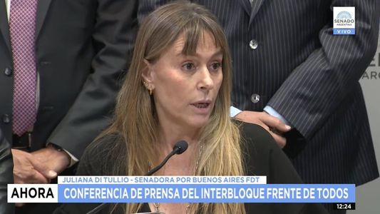 Senadores del FdT rechazaron el fallo de la Corte sobre la Magistratura: Cuando quieren duermen expedientes y cuando quieren los apuran