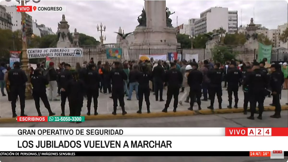 Fuerte operativo policial en el Congreso ante una nueva marcha de jubilados (Foto: captura)