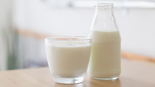 Complemento Leche de ANSES: cómo acceder