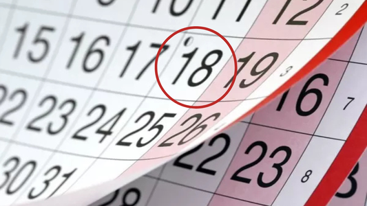 Feriado por el Día de la Soberanía Nacional: cuándo cae en Noviembre 2024